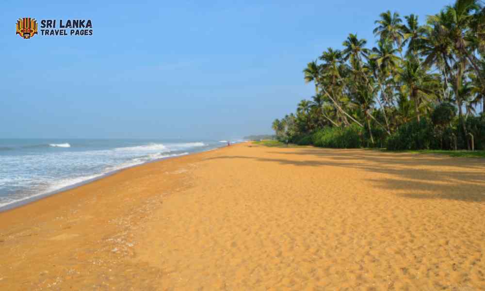 पनादुरा समुद्रतट