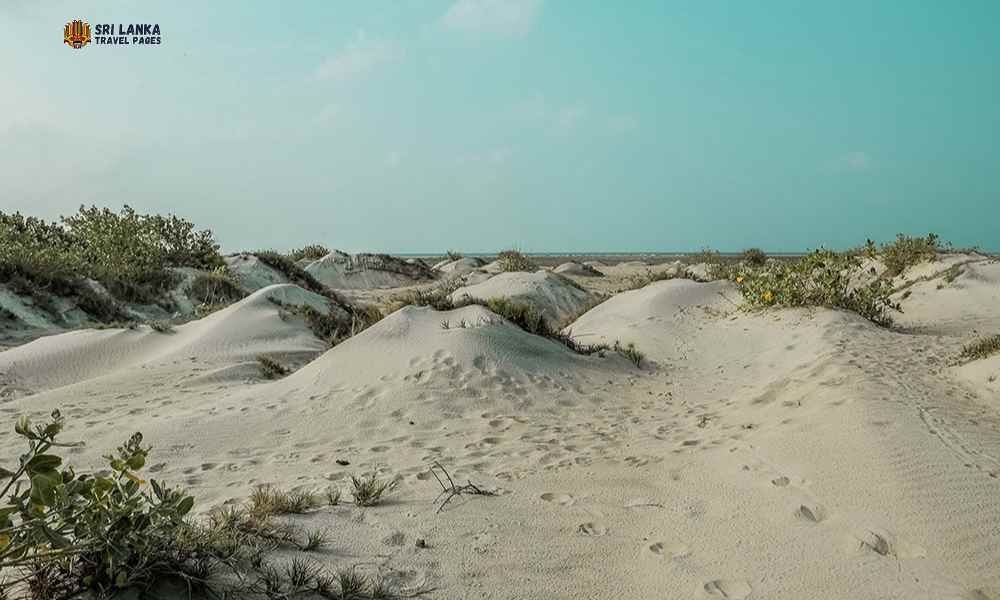 Talaimannar Sand Dunes