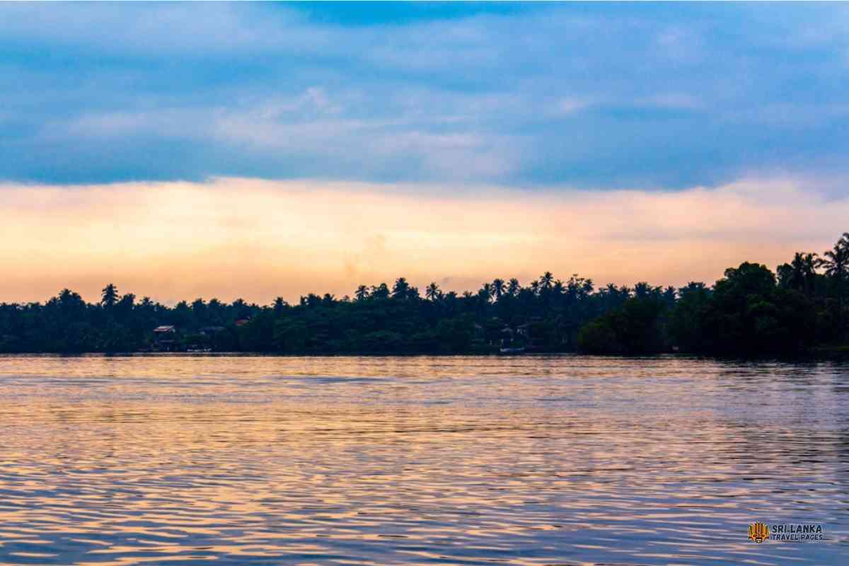 Jezioro Dedduwa Bentota