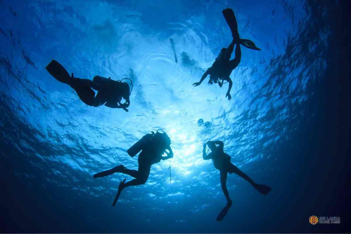 Plongée sous-marine à Kalpitiya