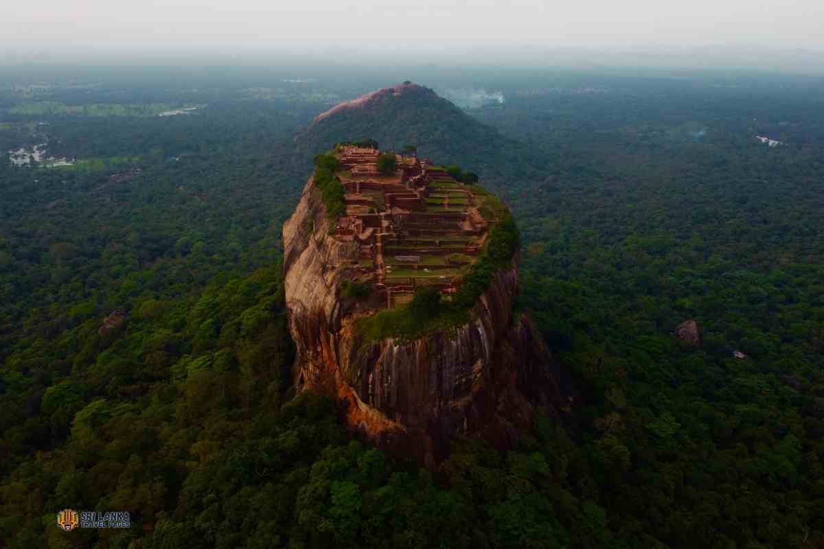 Прибытие туристов в Шри-Ланку до конца мая 2024 года и цель визита