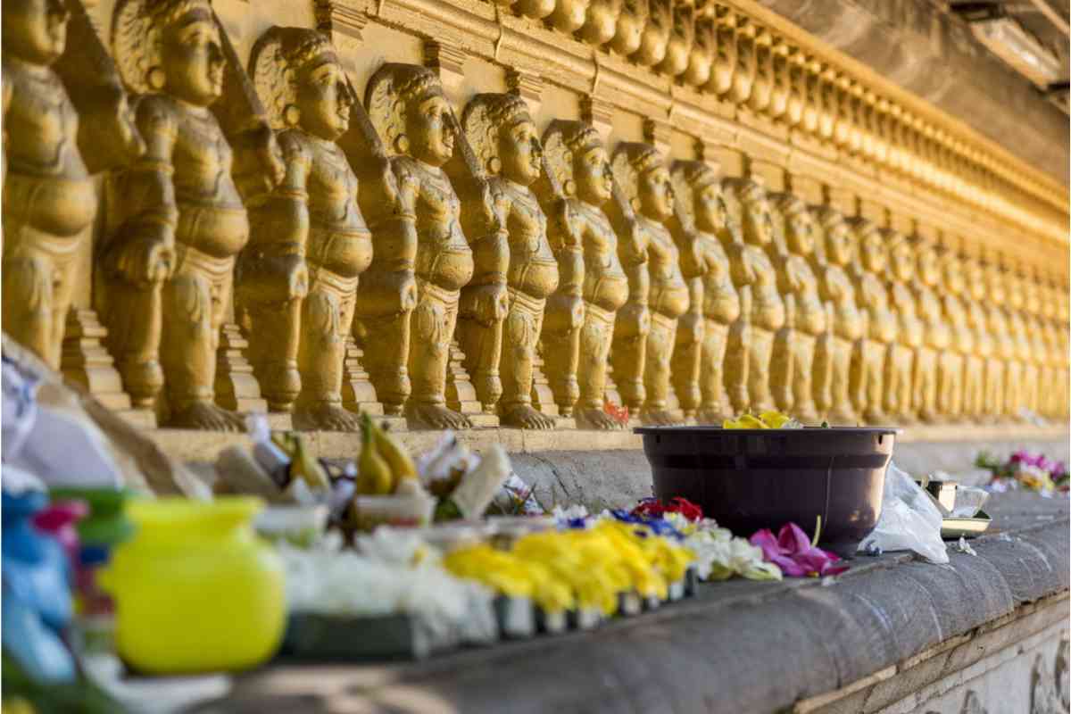 カドゥウェラ スリランカ 観光