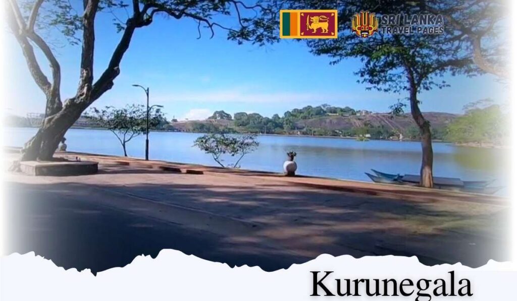 Курунегала