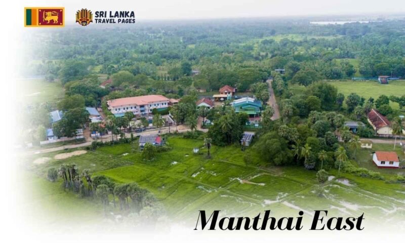 Manthai Manthai East City Guide