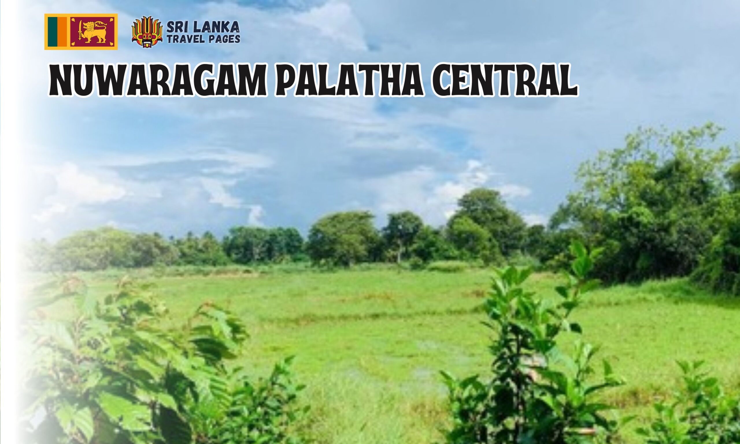 ヌワラガム・パラタ・セントラル