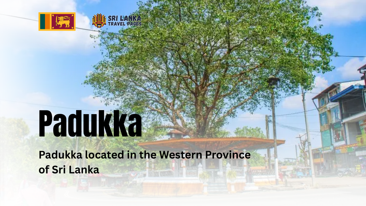 パドゥッカ