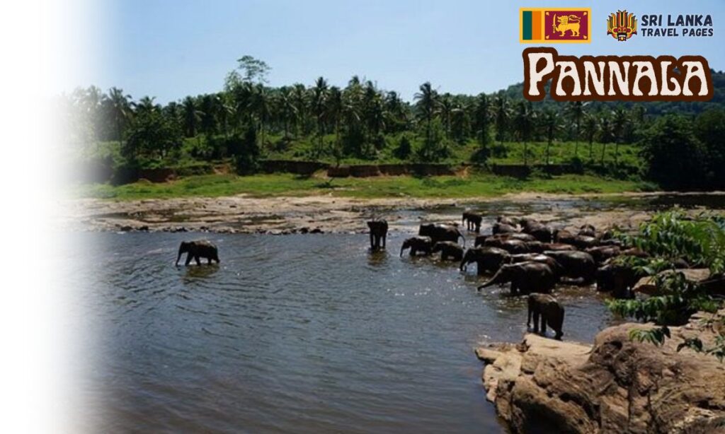 Pannala