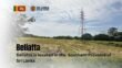 Beliatta