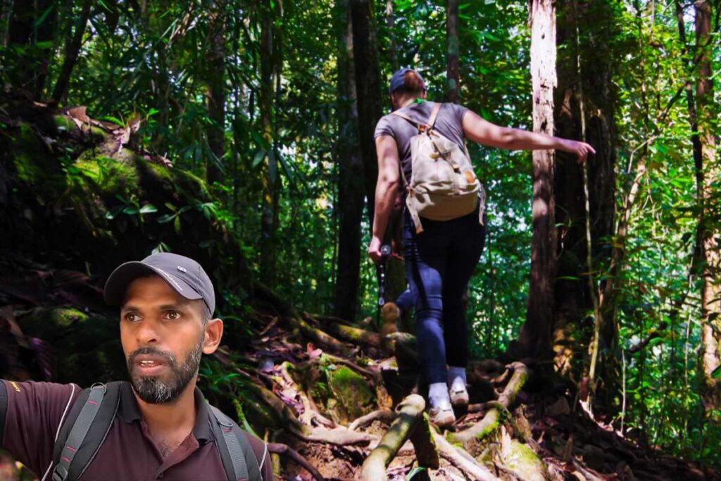 vidura guide and our team at Sinharaja Forest near Lankagama Entrance
