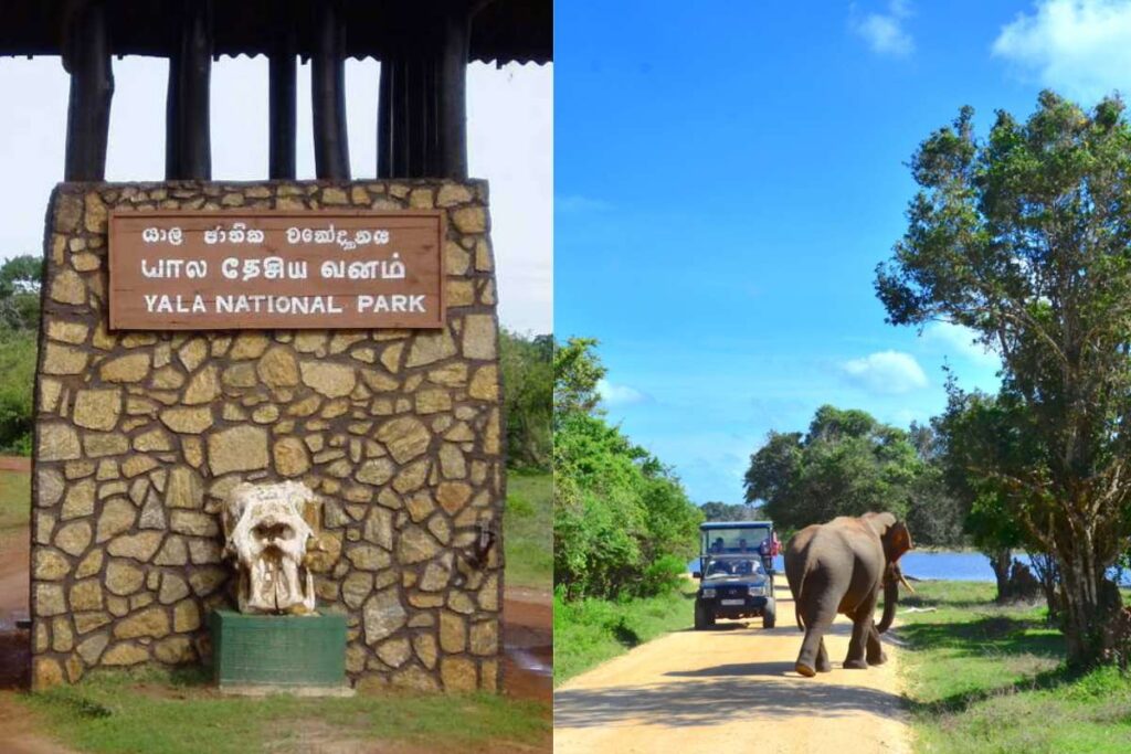 Reservas en línea de los Parques Nacionales de Sri Lanka