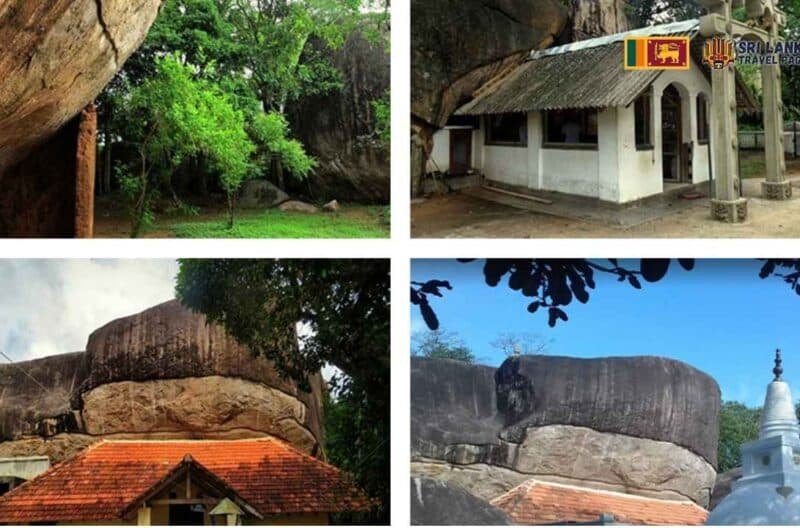 Halamba Tree Halamba Raja Maha Viharaya