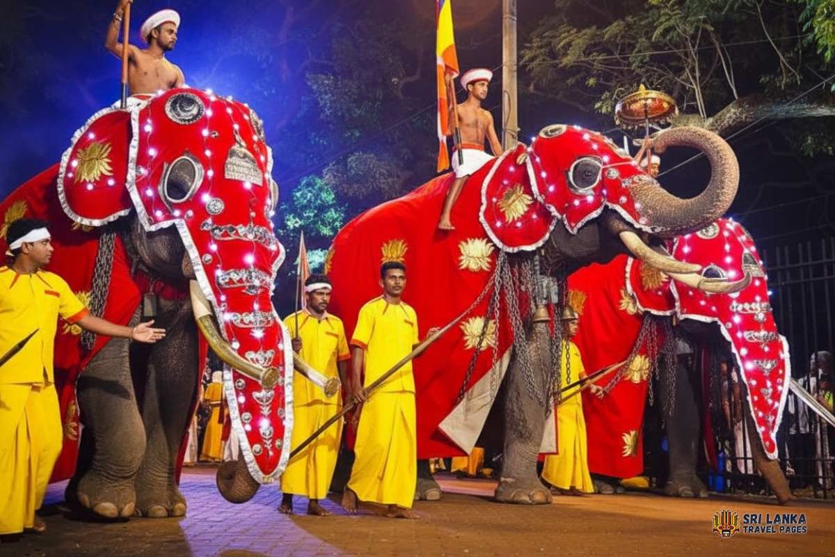 Prozession der Kelaniya Duruthu Perahera mit reich geschmückten Elefanten, die die heilige Reliquienschatulle im Kelaniya Raja Maha Viharaya tragen.